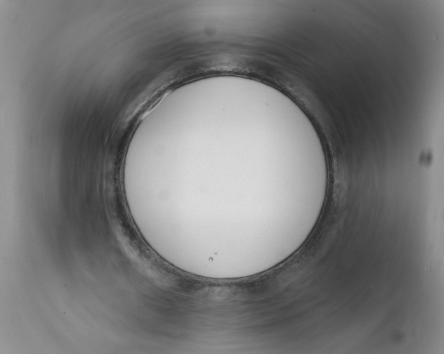 X0000112140482200908281321