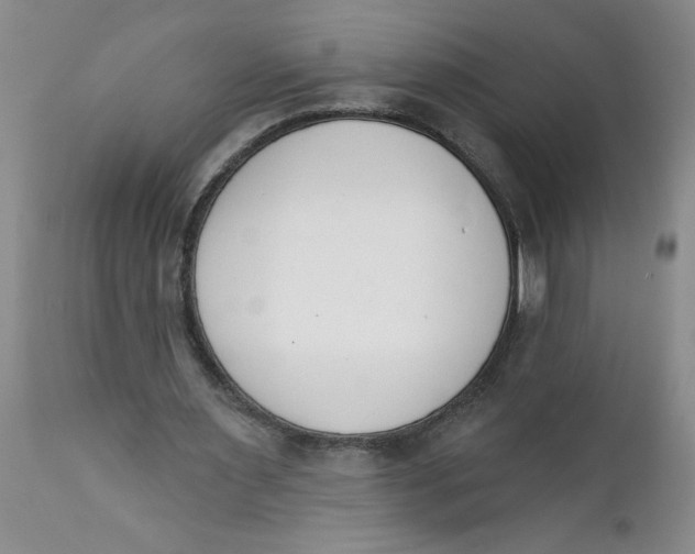 X0000112140483200908281321