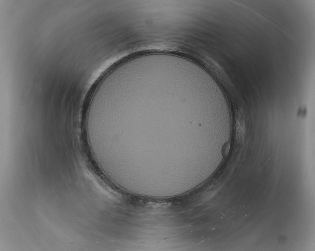 X0000112140484200908281321