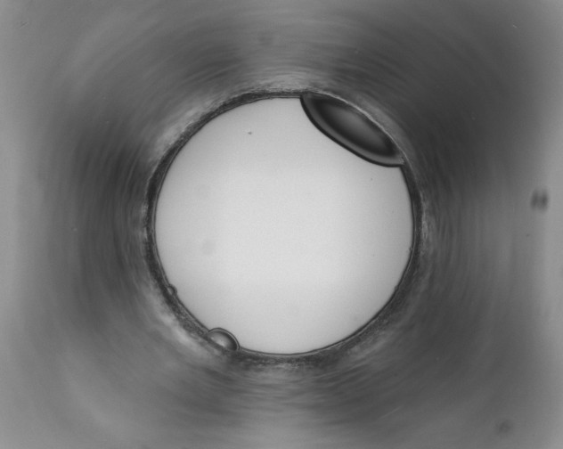 X0000112140485200908281320