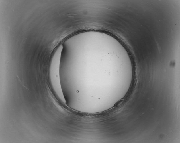 X0000112140489200908281320