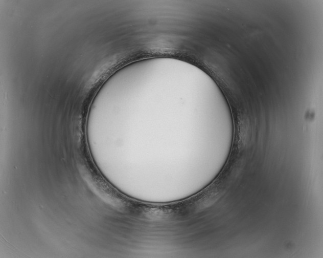 X0000112140494200908281320