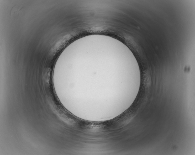 X0000112140495200908281320