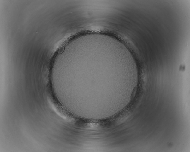 X0000112140496200908281320