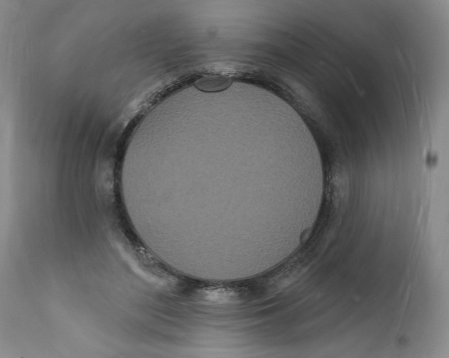 X0000112140500200908281320