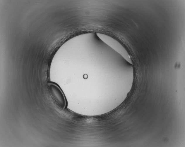 X0000112140501200908281320