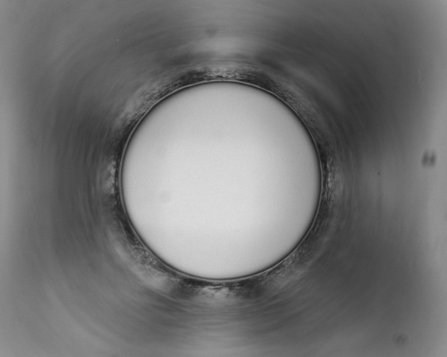 X0000112140502200908281320