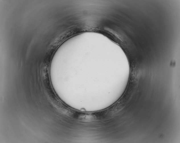 X0000112140503200908281320