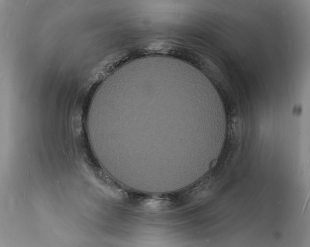 X0000112140504200908281320