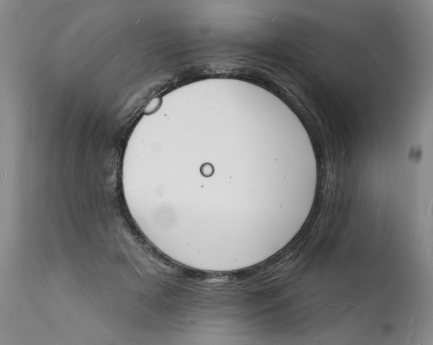 X0000112140505200908281320