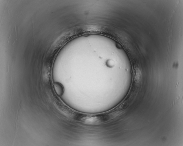 X0000112140507200908281320