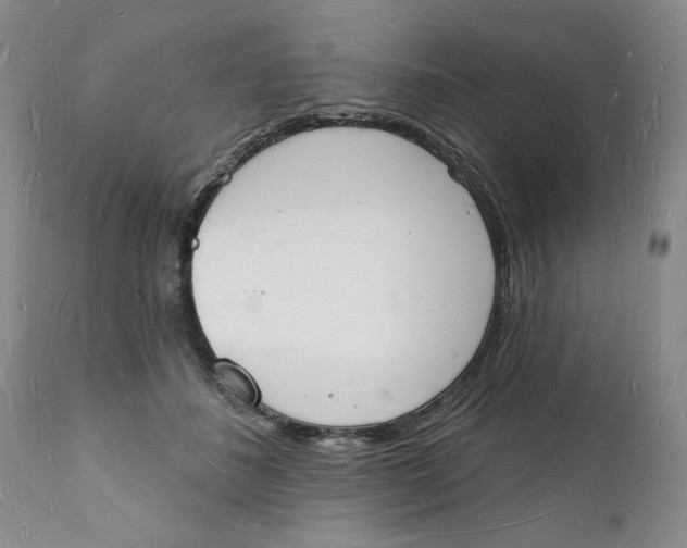 X0000112140508200908281320