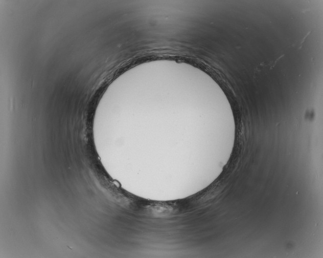 X0000112140512200908281320