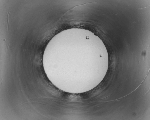 X0000112140515200908281320