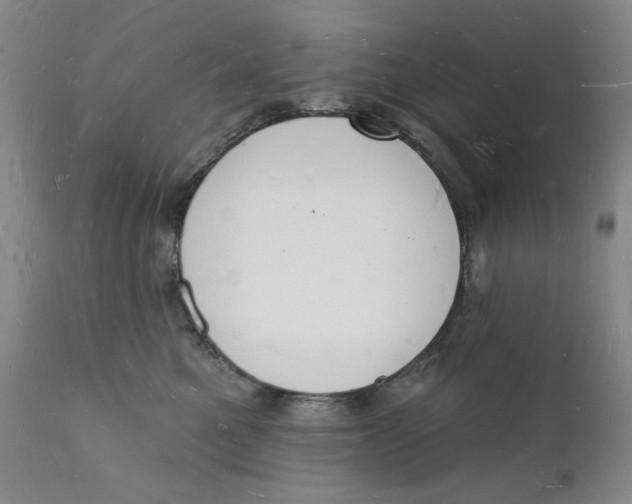 X0000112140521200908281320