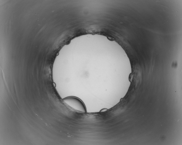 X0000112140523200908281320