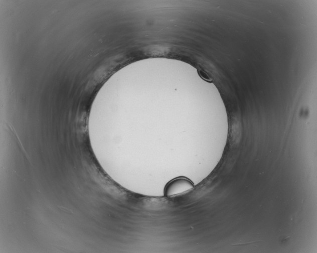 X0000112140525200908281320