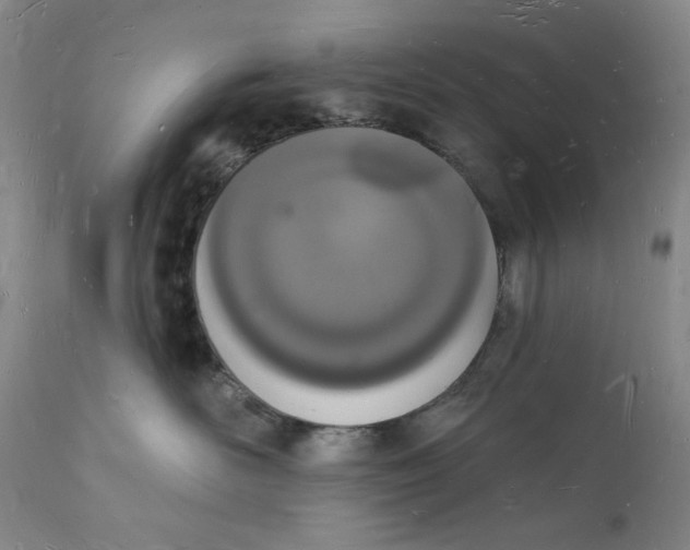 X0000112140526200908281320