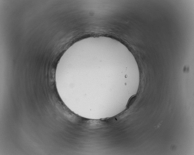 X0000112140528200908281320