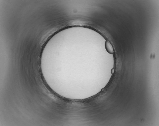 X0000112140529200908281319