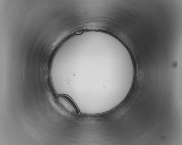 X0000112140530200908281319