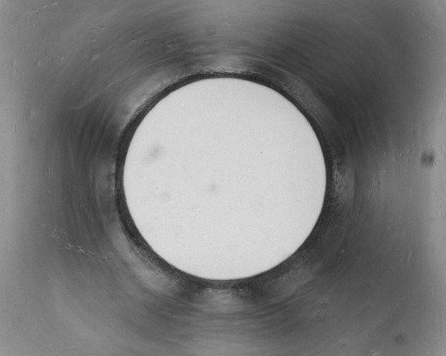 X0000112140534200908281319