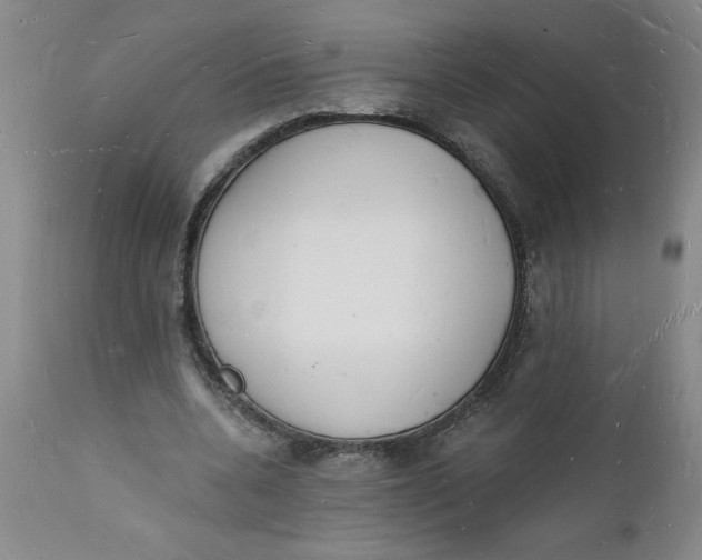 X0000112140536200908281319