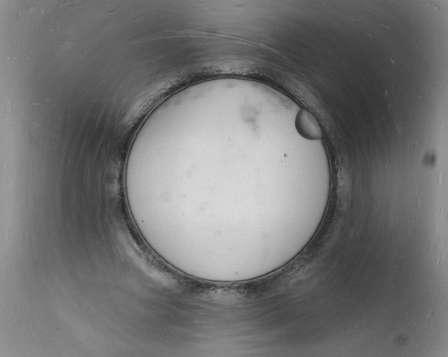 X0000112140537200908281319