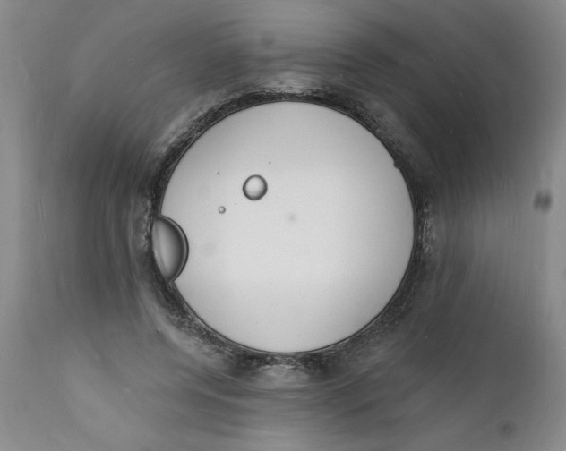 X0000112140544200908281319