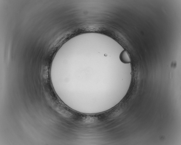 X0000112140549200908281319