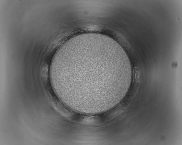 X0000112140550200908281319