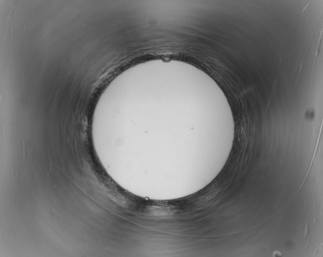 X0000112140556200908281319