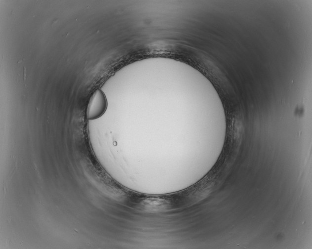 X0000112140557200908281319