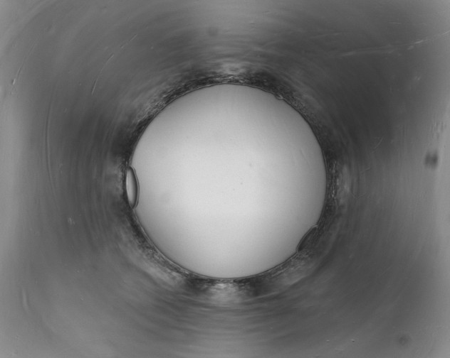 X0000112140562200908281320