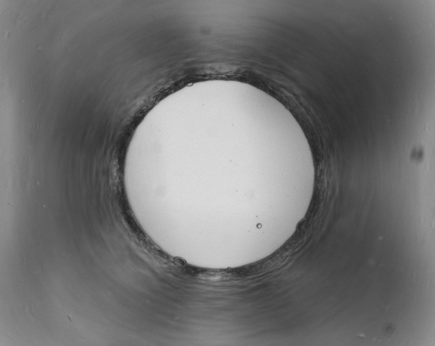 X0000112140564200908281320