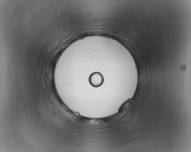 X0000112140566200908281320