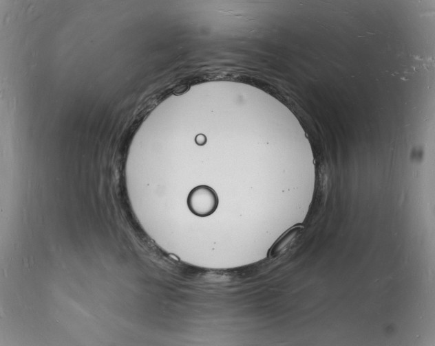 X0000112140570200908281320