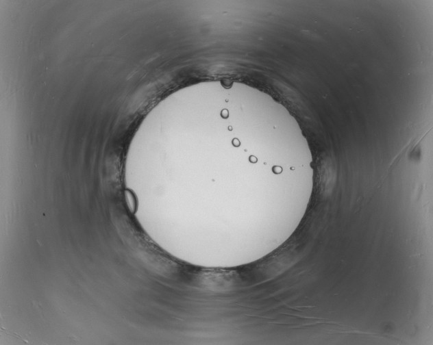 X0000112140571200908281320