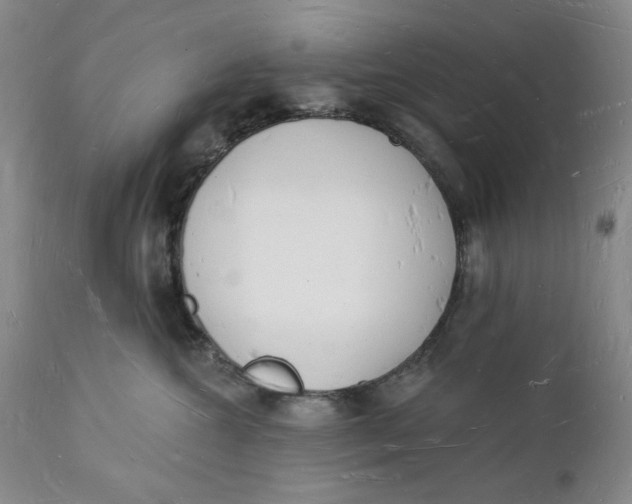 X0000112140572200908281320