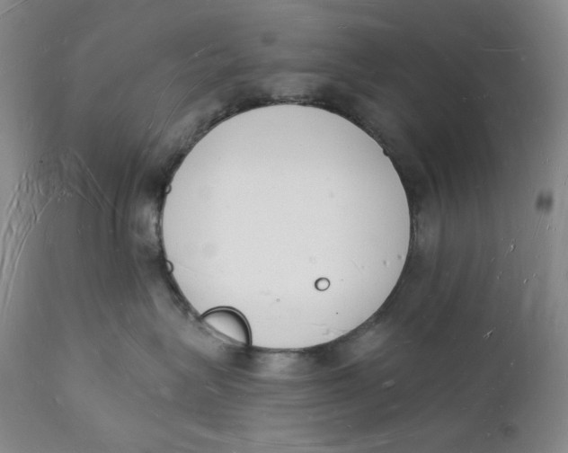 X0000112140575200908281320