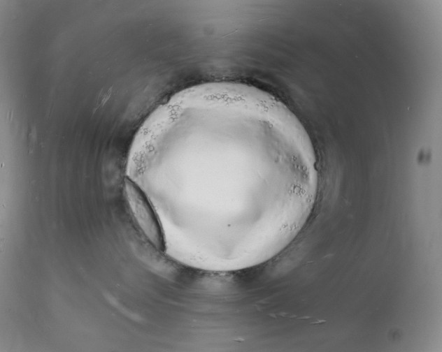 X0000112140576200908281320