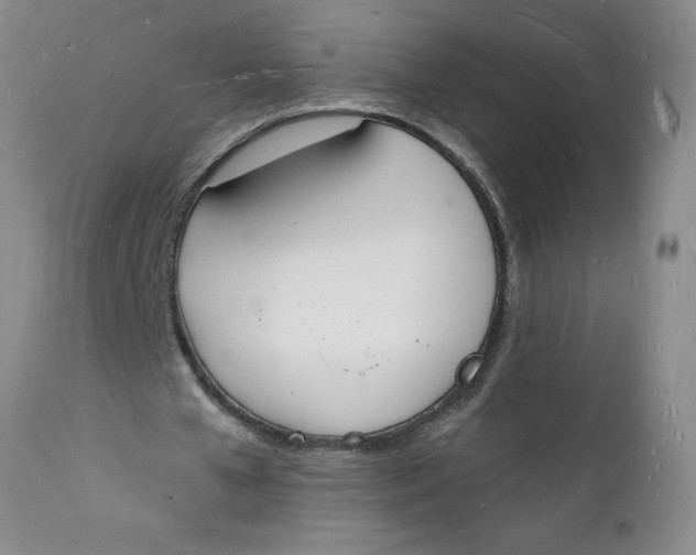 X0000112140577200908281319