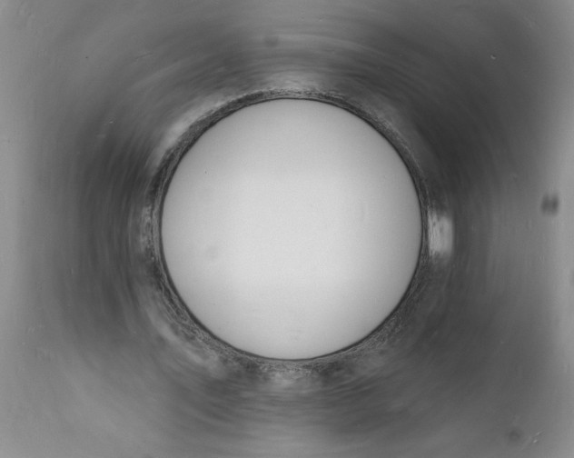 X0000112140579200908281319