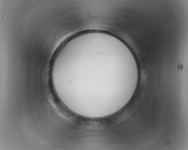 X0000112140580200908281319