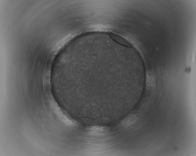 X0000112140581200908281319