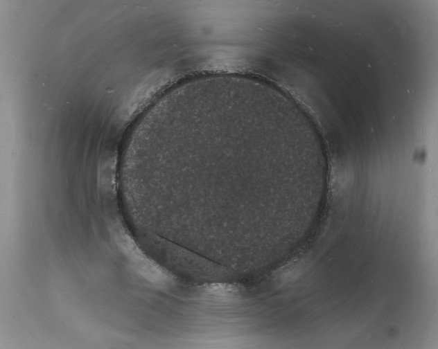 X0000112140585200908281319