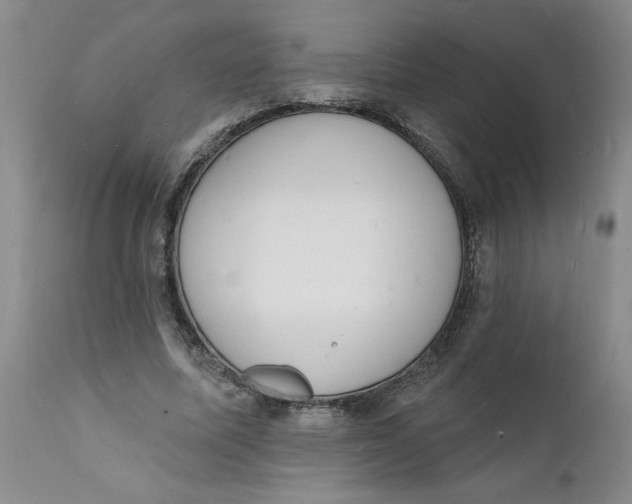 X0000112140587200908281319