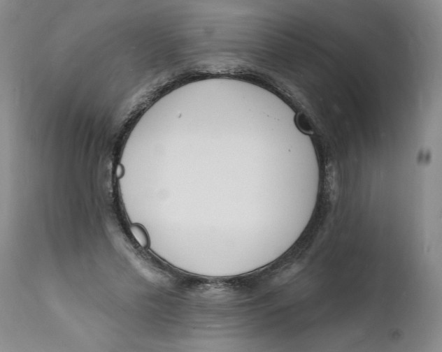 X0000112140589200908281319