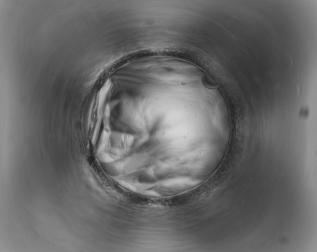 X0000112140592200908281319