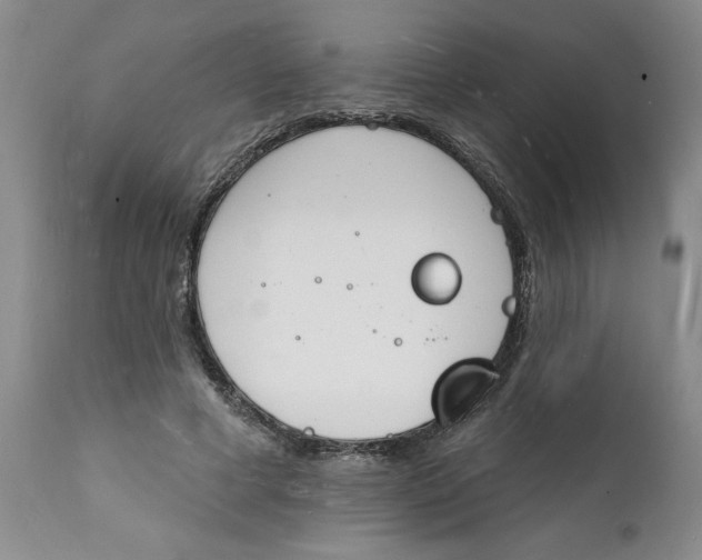 X0000112140593200908281319